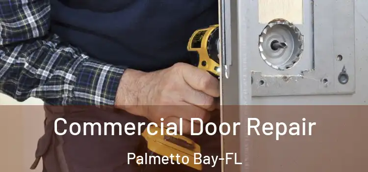 Commercial Door Repair Palmetto Bay-FL