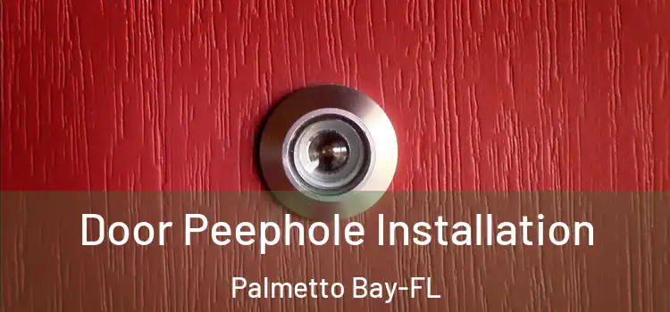  Door Peephole Installation Palmetto Bay-FL