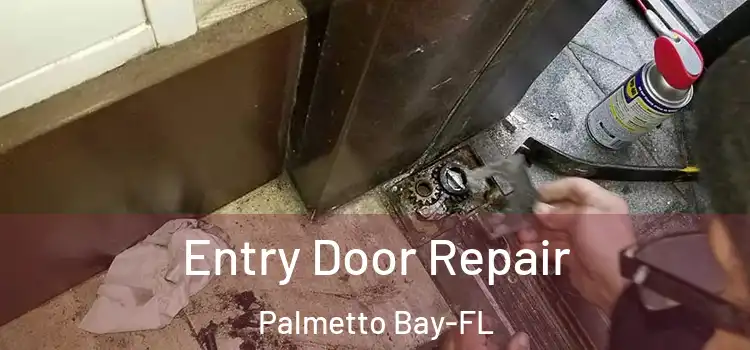 Entry Door Repair Palmetto Bay-FL