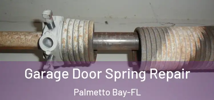  Garage Door Spring Repair Palmetto Bay-FL