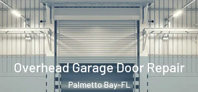  Overhead Garage Door Repair Palmetto Bay-FL