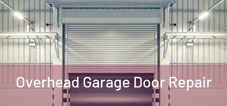  Overhead Garage Door Repair 