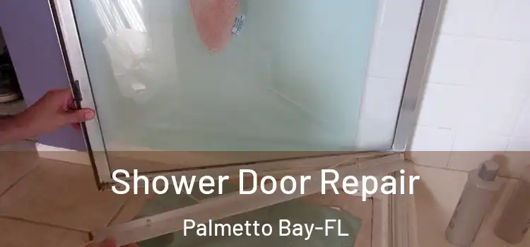 Shower Door Repair Palmetto Bay-FL